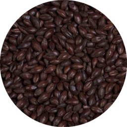 BLACK MALT (PER LB)