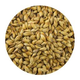 CARAMEL (CRYSTAL) MALT 10/15 L (PER LB)