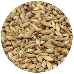 MELANOIDIN MALT (PER LB)