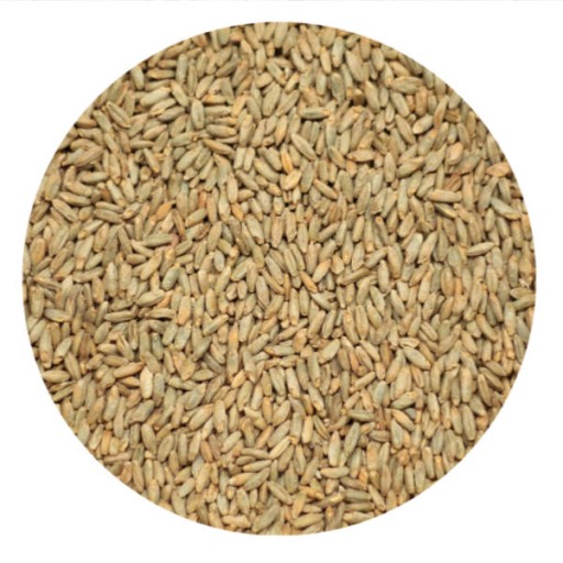 RYE MALT (PER LB)