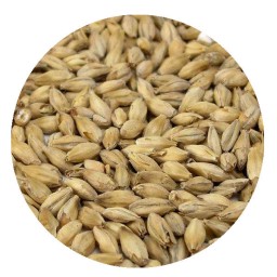 VIENNA MALT (PER LB)