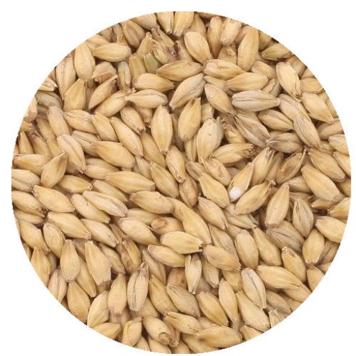 MALT, GERMAN PILSENER (PER LB)