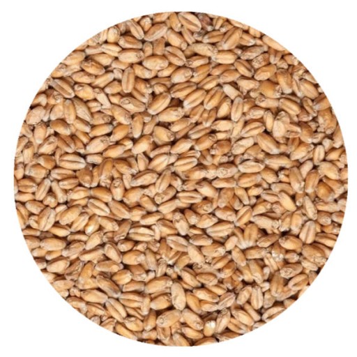 MALTED WHEAT (PER LB)